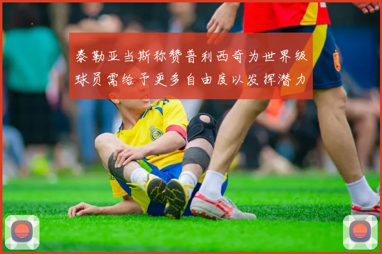 泰勒亚当斯称赞普利西奇为世界级球员需给予更多自由度以发挥潜力