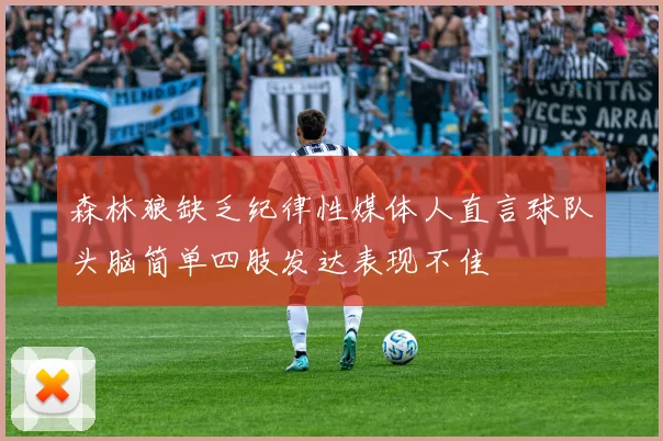 森林狼缺乏纪律性媒体人直言球队头脑简单四肢发达表现不佳
